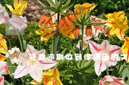 贷款逾期收到律师函的文件 贷款逾期收到律师函的文件