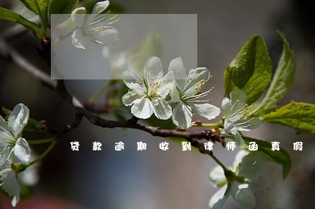 贷款逾期收到律师函真假 贷款逾期收到律师函真假