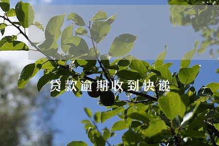 贷款逾期收到快递 贷款逾期收到快递