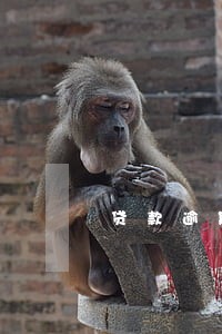 贷款逾期收到恐吓上门短信 贷款逾期收到恐吓上门短信