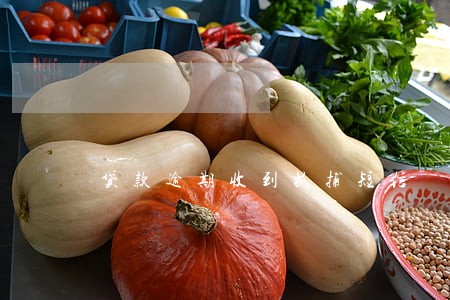 贷款逾期收到抓捕短信 贷款逾期收到抓捕短信