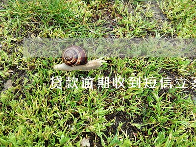 贷款逾期收到短信立案通知 贷款逾期收到短信立案通知