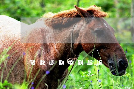 贷款逾期收到起诉 贷款逾期收到起诉