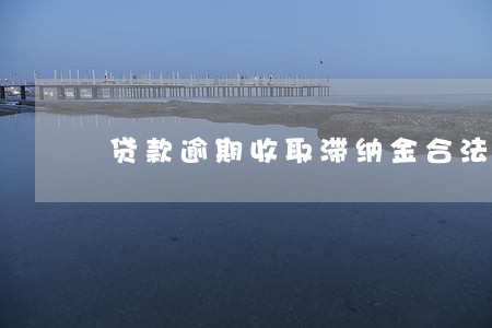 贷款逾期收取滞纳金合法吗 贷款逾期收取滞纳金合法吗