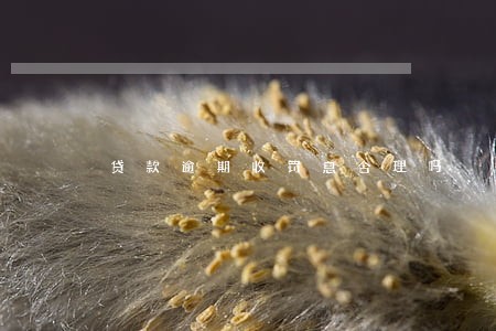 贷款逾期收罚息合理吗