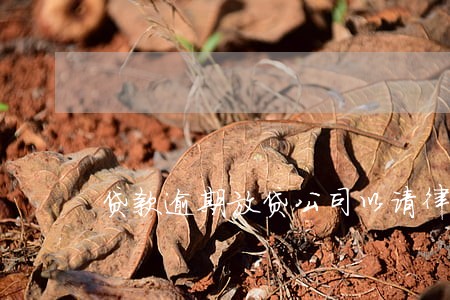贷款逾期放贷公司以请律师 贷款逾期放贷公司以请律师