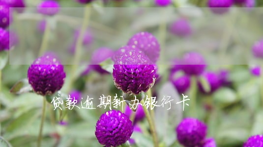 贷款逾期新办银行卡 贷款逾期新办银行卡