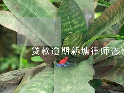 贷款逾期新塘律师咨询 贷款逾期新塘律师咨询