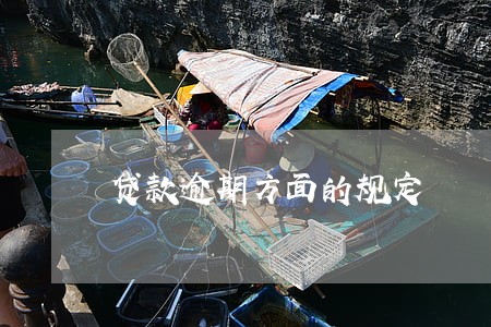 贷款逾期方面的规定 贷款逾期方面的规定