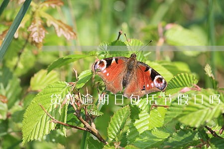 贷款逾期日包括节假日吗
