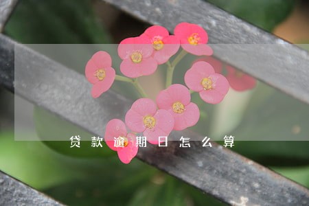 贷款逾期日怎么算 贷款逾期日怎么算