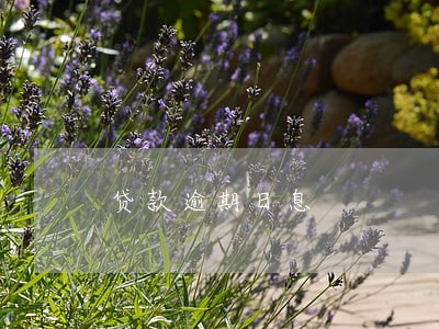贷款逾期日息 贷款逾期日息
