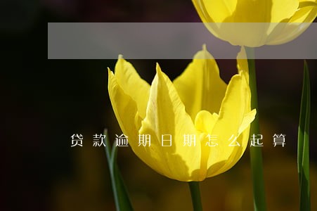 贷款逾期日期怎么起算 贷款逾期日期怎么起算