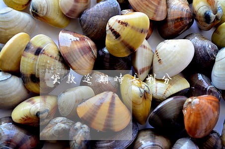 贷款逾期时长划分 贷款逾期时长划分