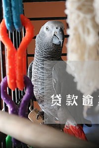 贷款逾期时间越长 贷款逾期时间越长