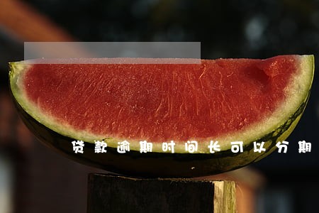 贷款逾期时间长可以分期吗 贷款逾期时间长可以分期吗