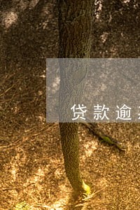 贷款逾期春节利息高吗