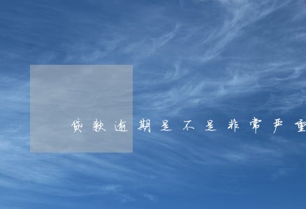 贷款逾期是不是非常严重