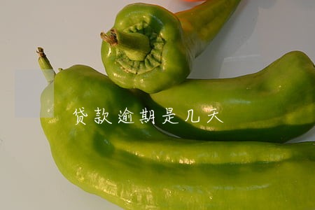 贷款逾期是几天