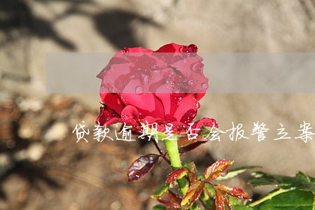 贷款逾期是否会报警立案 贷款逾期是否会报警立案