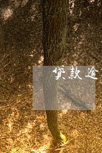 贷款逾期是否能消除 贷款逾期是否能消除