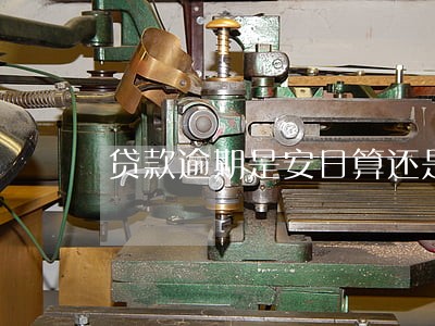贷款逾期是安日算还是按天算