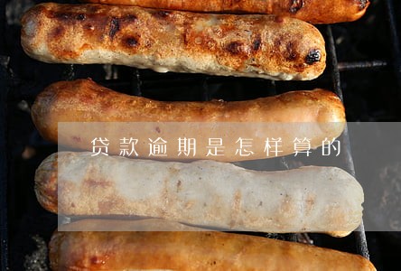 贷款逾期是怎样算的