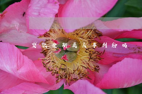 贷款逾期是民事纠纷吗