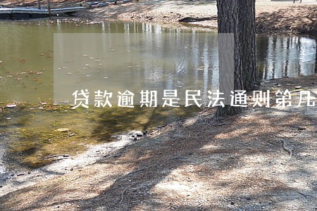 贷款逾期是民法通则第几条 贷款逾期是民法通则第几条