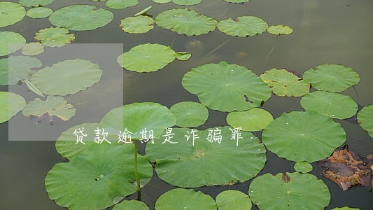 贷款逾期是诈骗罪 贷款逾期是诈骗罪
