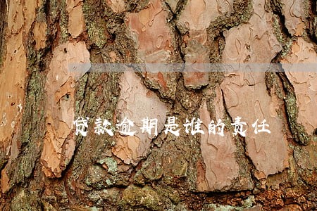 贷款逾期是谁的责任 贷款逾期是谁的责任