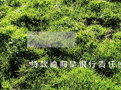 贷款逾期是银行责任说明 贷款逾期是银行责任说明