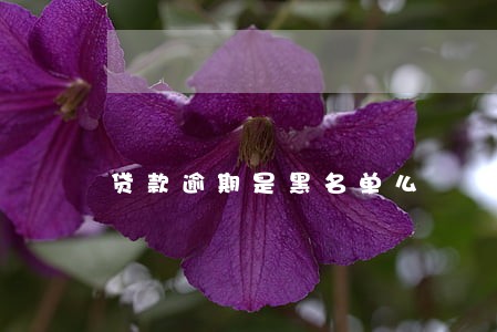 贷款逾期是黑名单么 贷款逾期是黑名单么