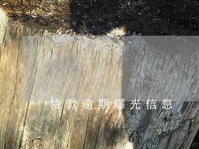 贷款逾期曝光信息 贷款逾期曝光信息