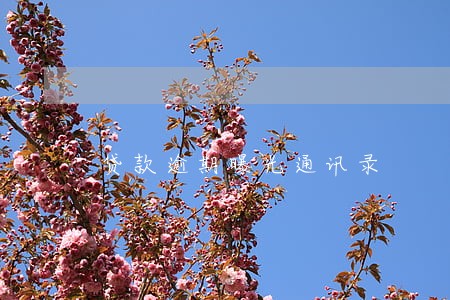 贷款逾期曝光通讯录 贷款逾期曝光通讯录