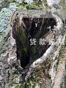 贷款逾期最后会怎么办 贷款逾期最后会怎么办
