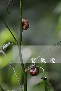 贷款逾期最长逾期月数3 贷款逾期最长逾期月数3