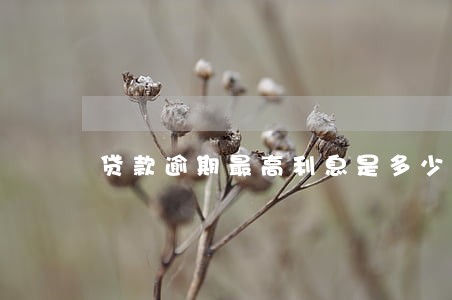 贷款逾期最高利息是多少钱