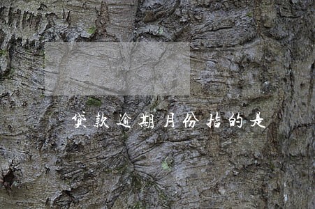 贷款逾期月份指的是 贷款逾期月份指的是