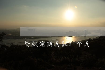 贷款逾期月数3个月 贷款逾期月数3个月