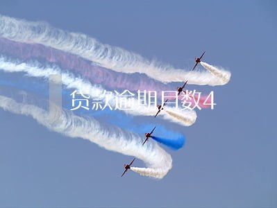 贷款逾期月数4 贷款逾期月数4
