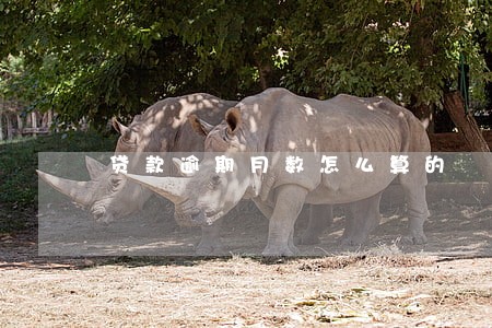 贷款逾期月数怎么算的 贷款逾期月数怎么算的