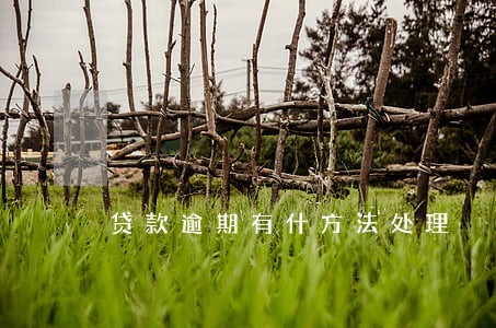 贷款逾期有什方法处理 贷款逾期有什方法处理
