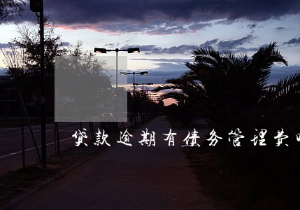 贷款逾期有债务管理费吗 贷款逾期有债务管理费吗
