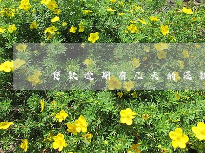 贷款逾期有几天的还款期限 贷款逾期有几天的还款期限