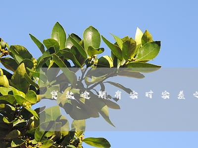 贷款逾期有容时容差之说吗 贷款逾期有容时容差之说吗