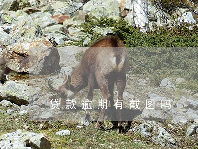 贷款逾期有截图吗 贷款逾期有截图吗