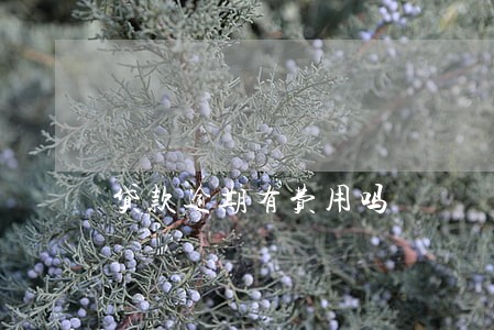 贷款逾期有费用吗 贷款逾期有费用吗