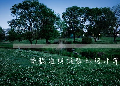 贷款逾期期数如何计算公式 贷款逾期期数如何计算公式