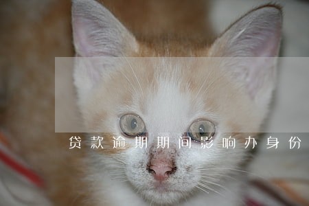 贷款逾期期间影响办身份证嘛 贷款逾期期间影响办身份证嘛